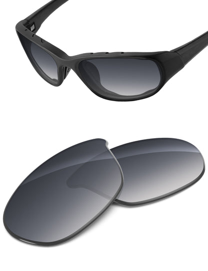 Gray Gradient-Non-Polarized
