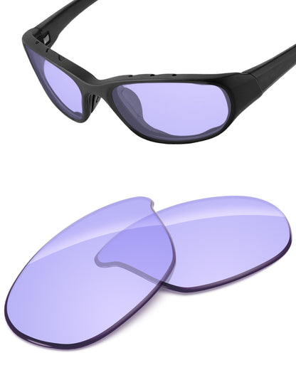 Low Light Purple-Non-Polarized