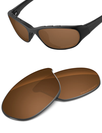 Nut Brown-Polarized