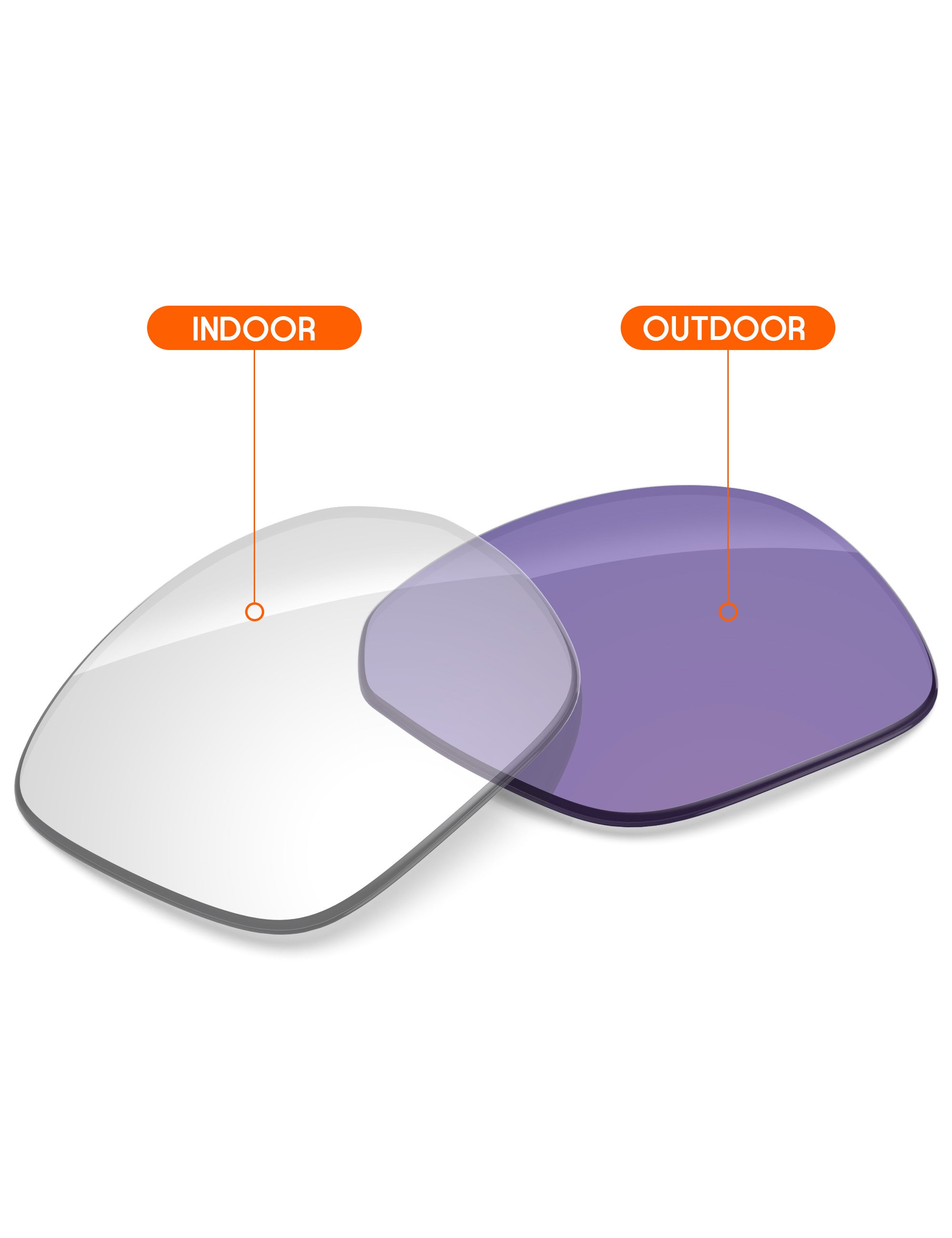 Adapt Purple Photochromic-Non-Polarized