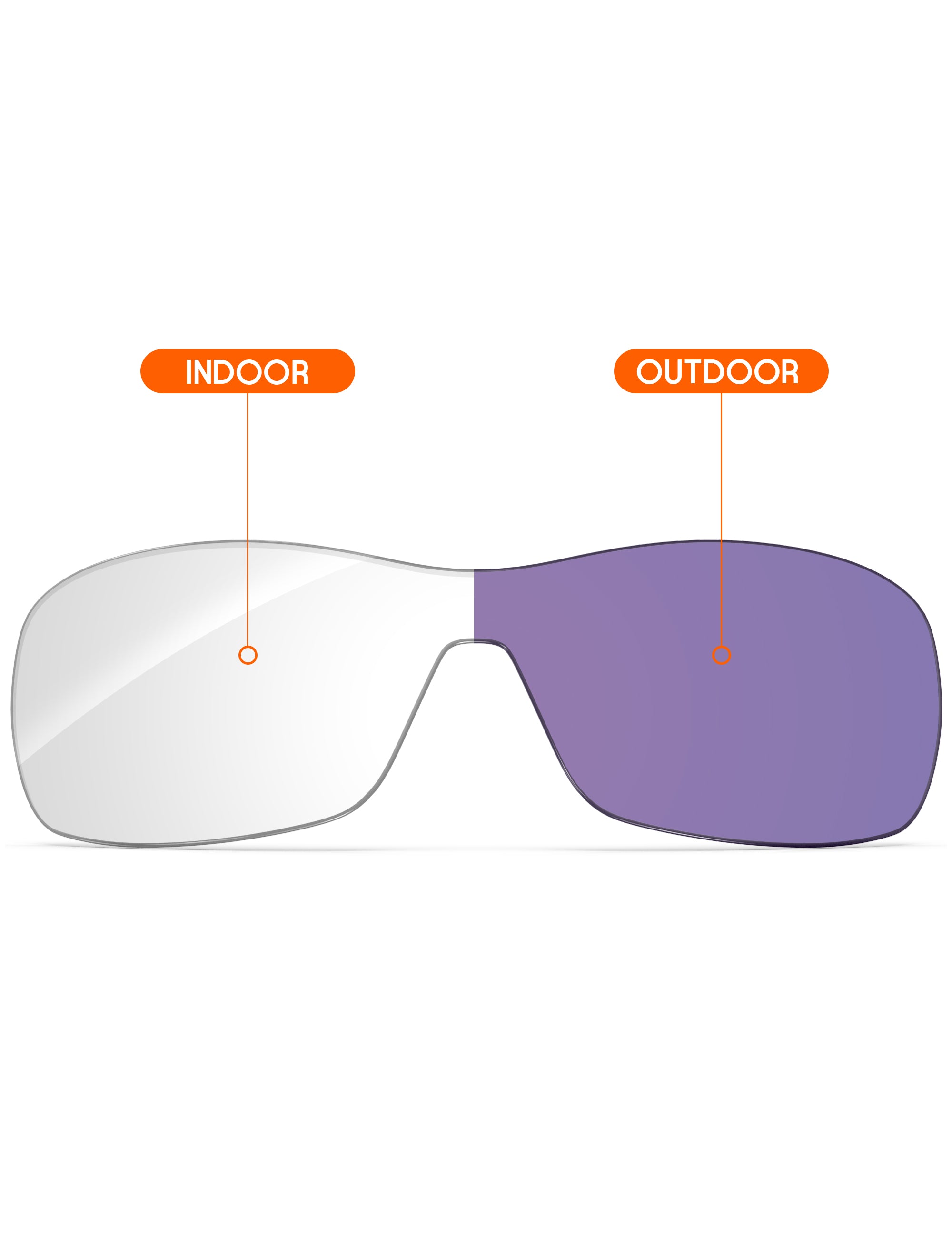 Adapt Purple Photochromic-Non-Polarized