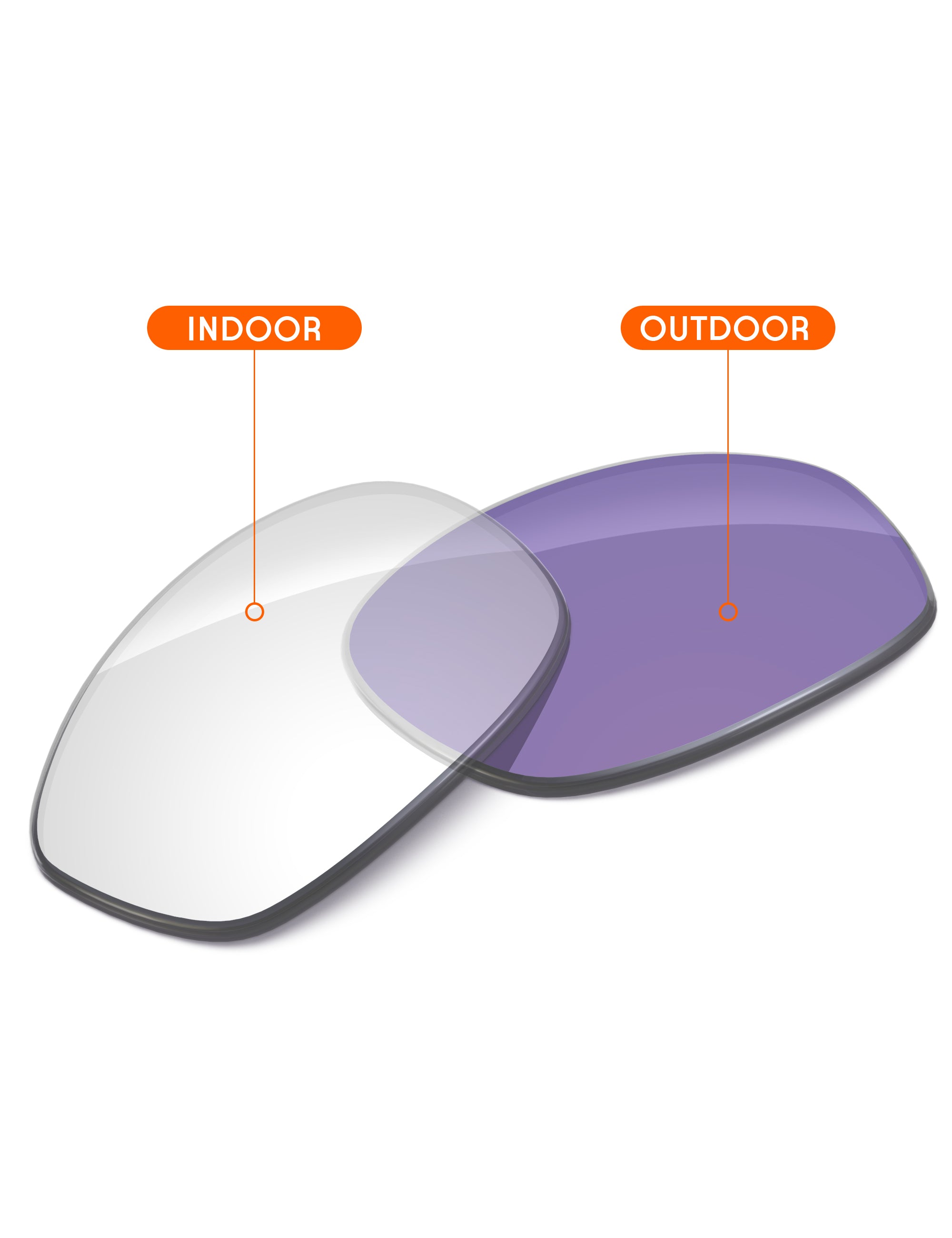 Adapt Purple Photochromic-Non-Polarized