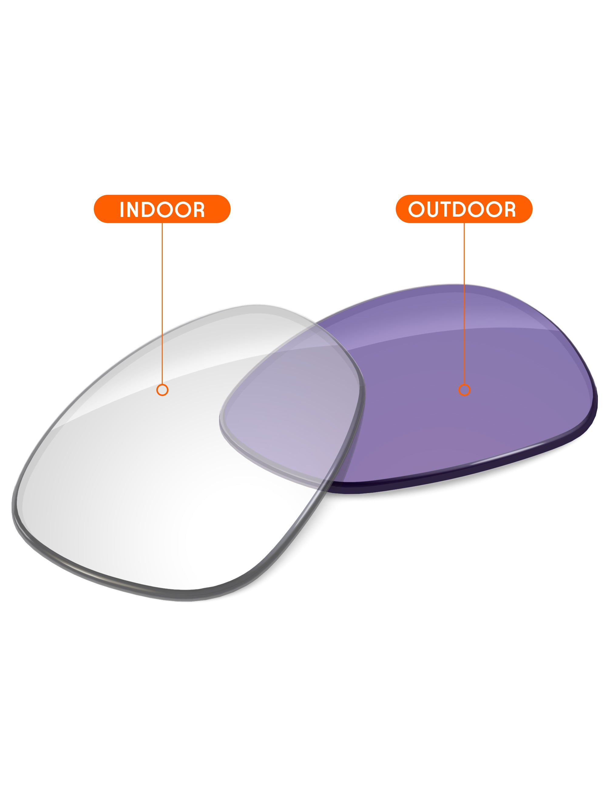 Adapt Purple Photochromic-Non-Polarized