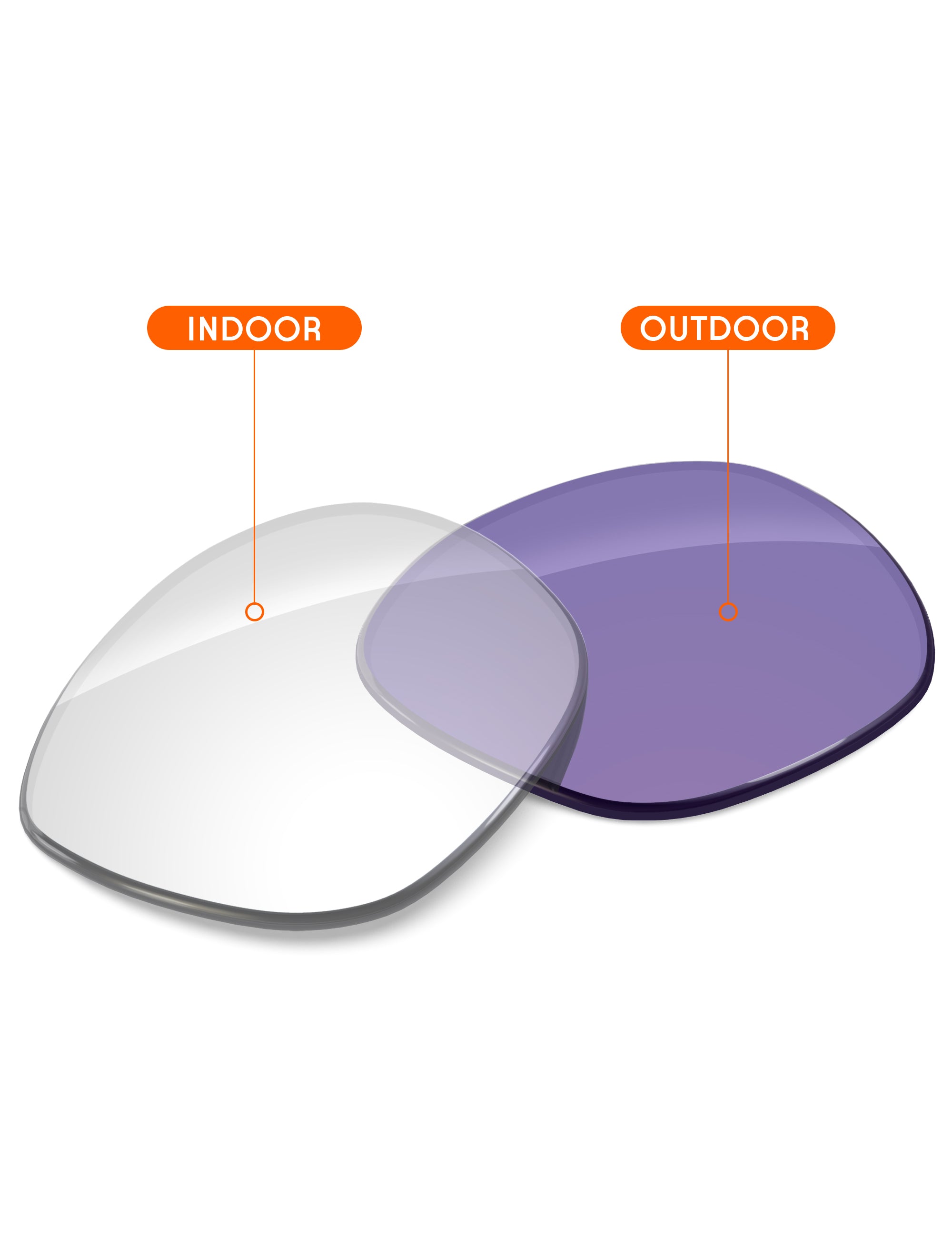 Adapt Purple Photochromic-Non-Polarized