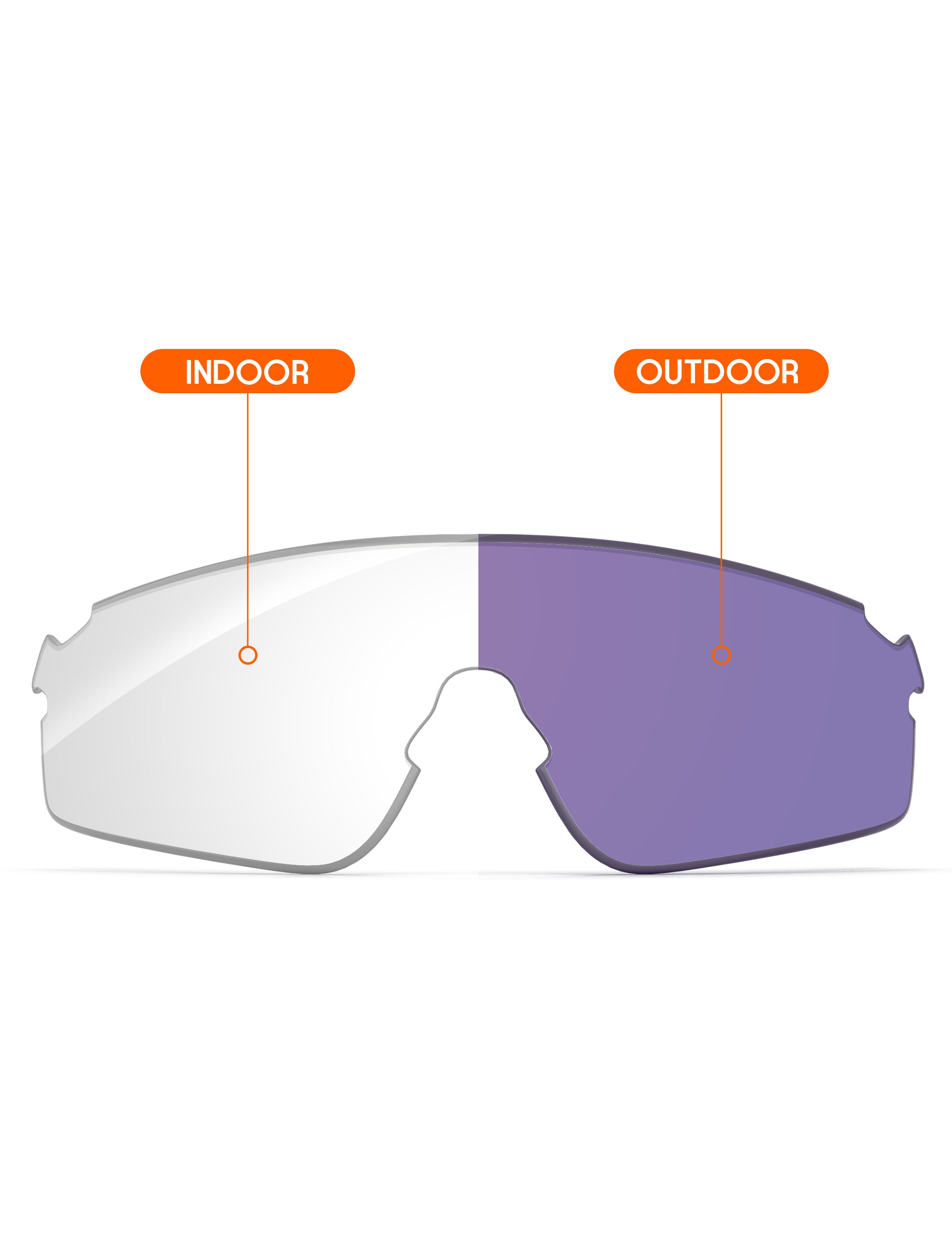 Adapt Purple Photochromic-Non-Polarized