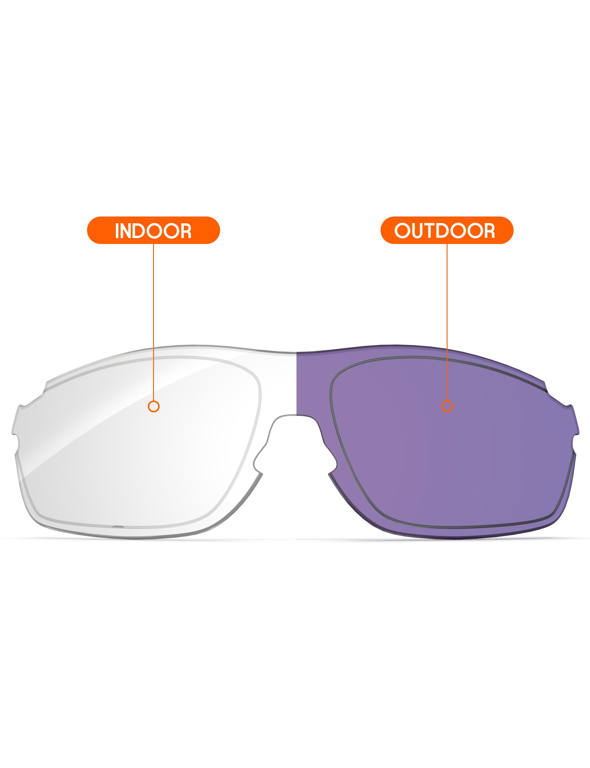 Adapt Purple Photochromic-Non-Polarized