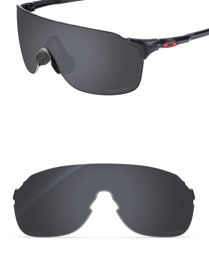 Black Shield FlashMirror™-Polarized