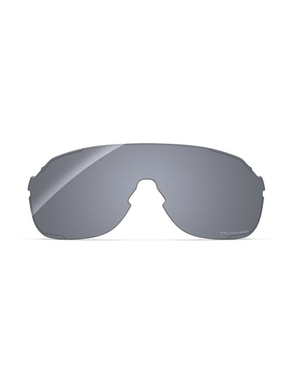 Silver Metallic FlashMirror?-Polarized