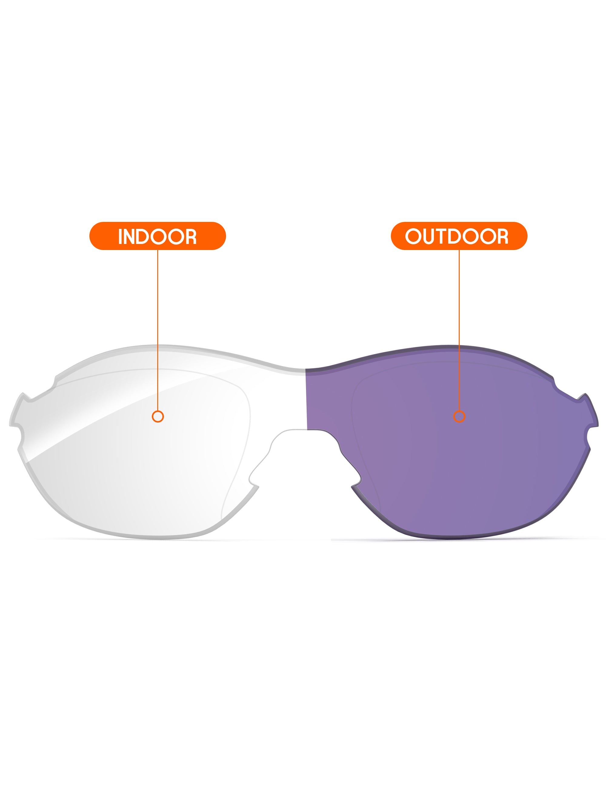 Adapt Purple Photochromic-Non-Polarized