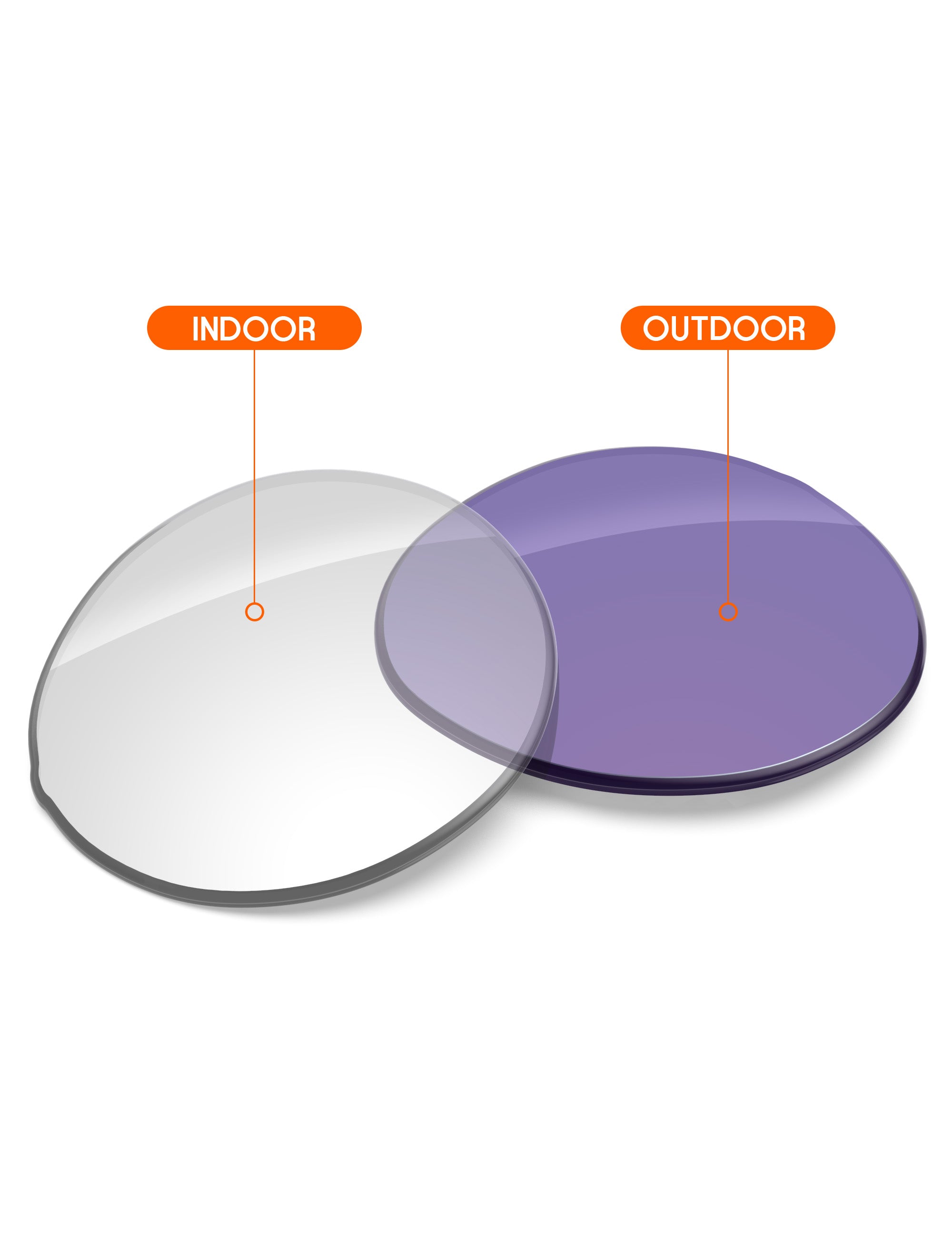 Adapt Purple Photochromic-Non-Polarized