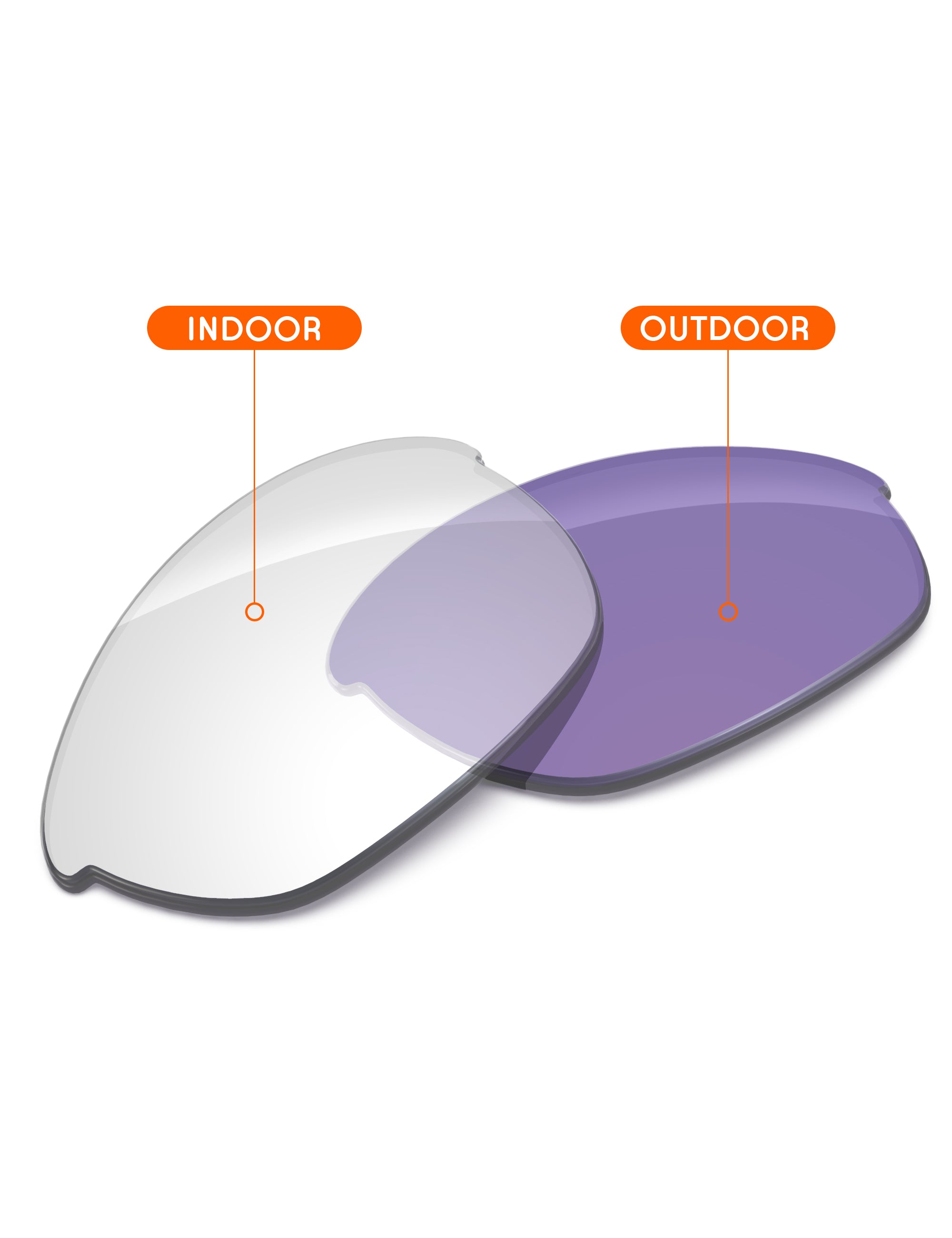 Adapt Purple Photochromic-Non-Polarized