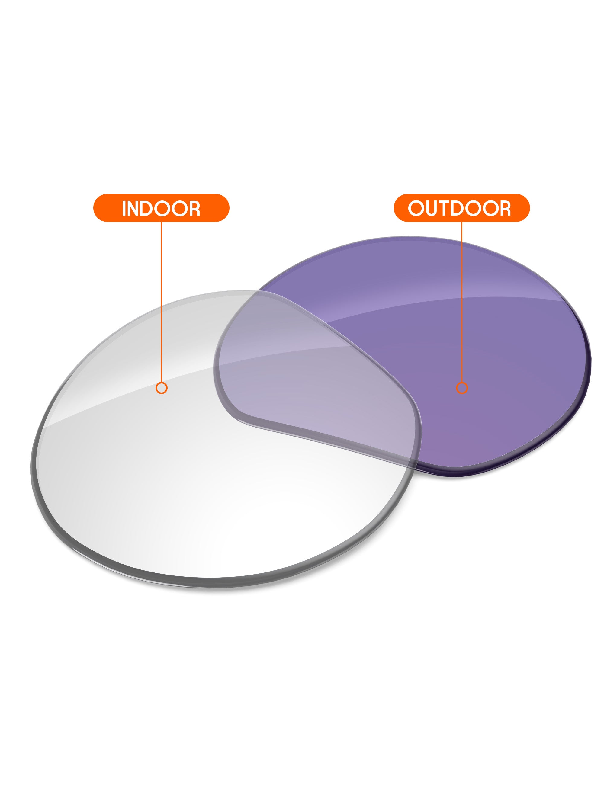 Adapt Purple Photochromic-Non-Polarized