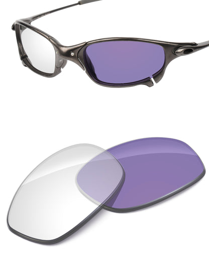 Adapt Purple Photochromic-Non-Polarized