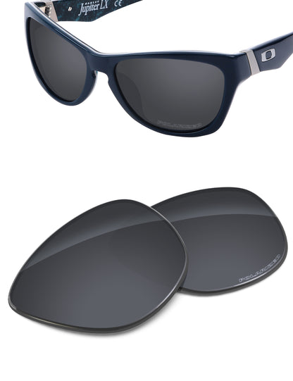 Black Shield FlashMirror™-Polarized