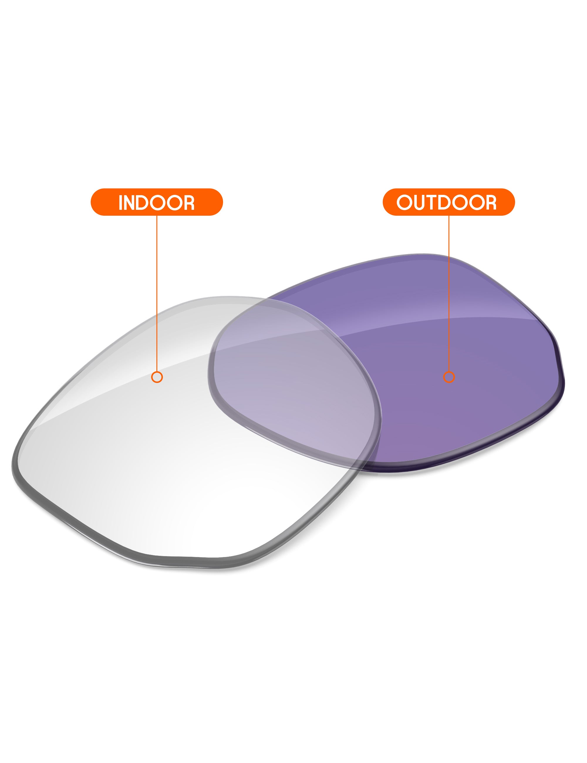 Adapt Purple Photochromic-Non-Polarized