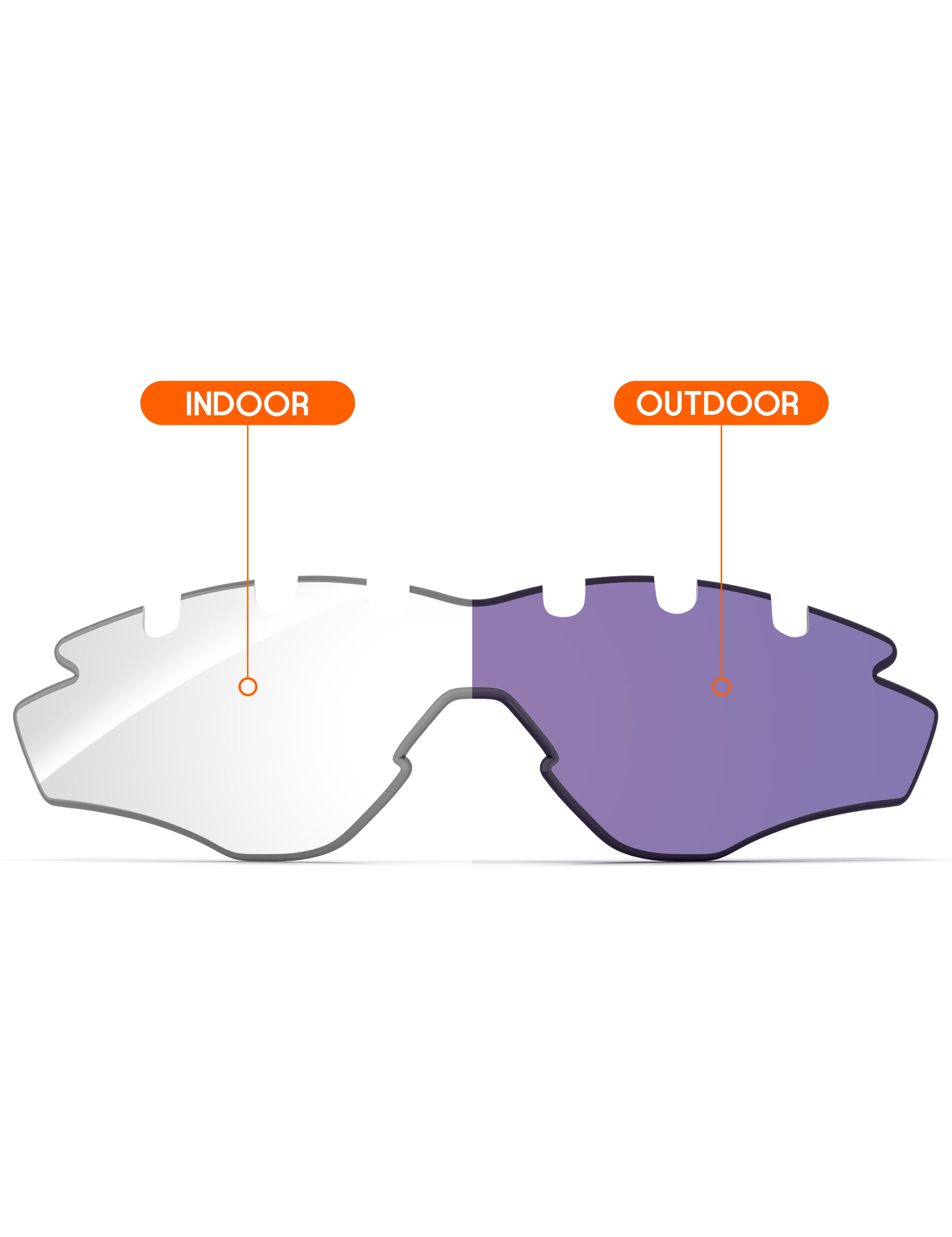 Adapt Purple Photochromic-Non-Polarized