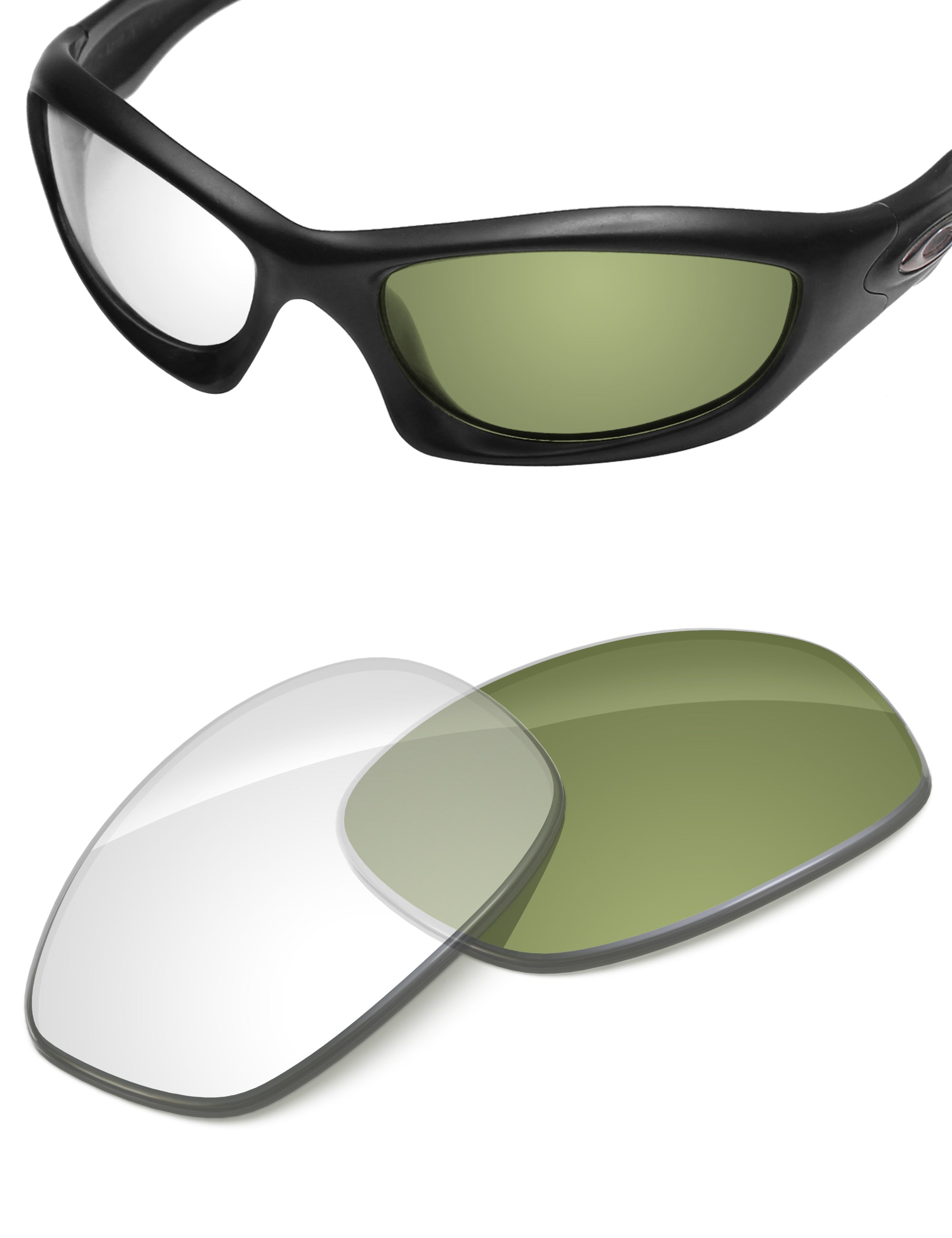 Adapt Green Photochromic-Non-Polarized