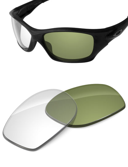 Adapt Green Photochromic-Non-Polarized