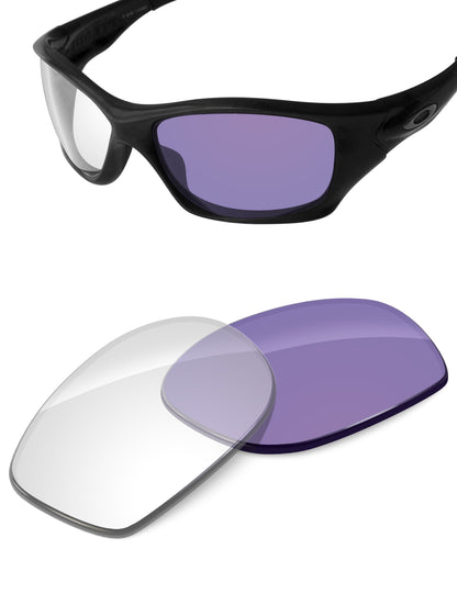 Adapt Purple Photochromic-Non-Polarized
