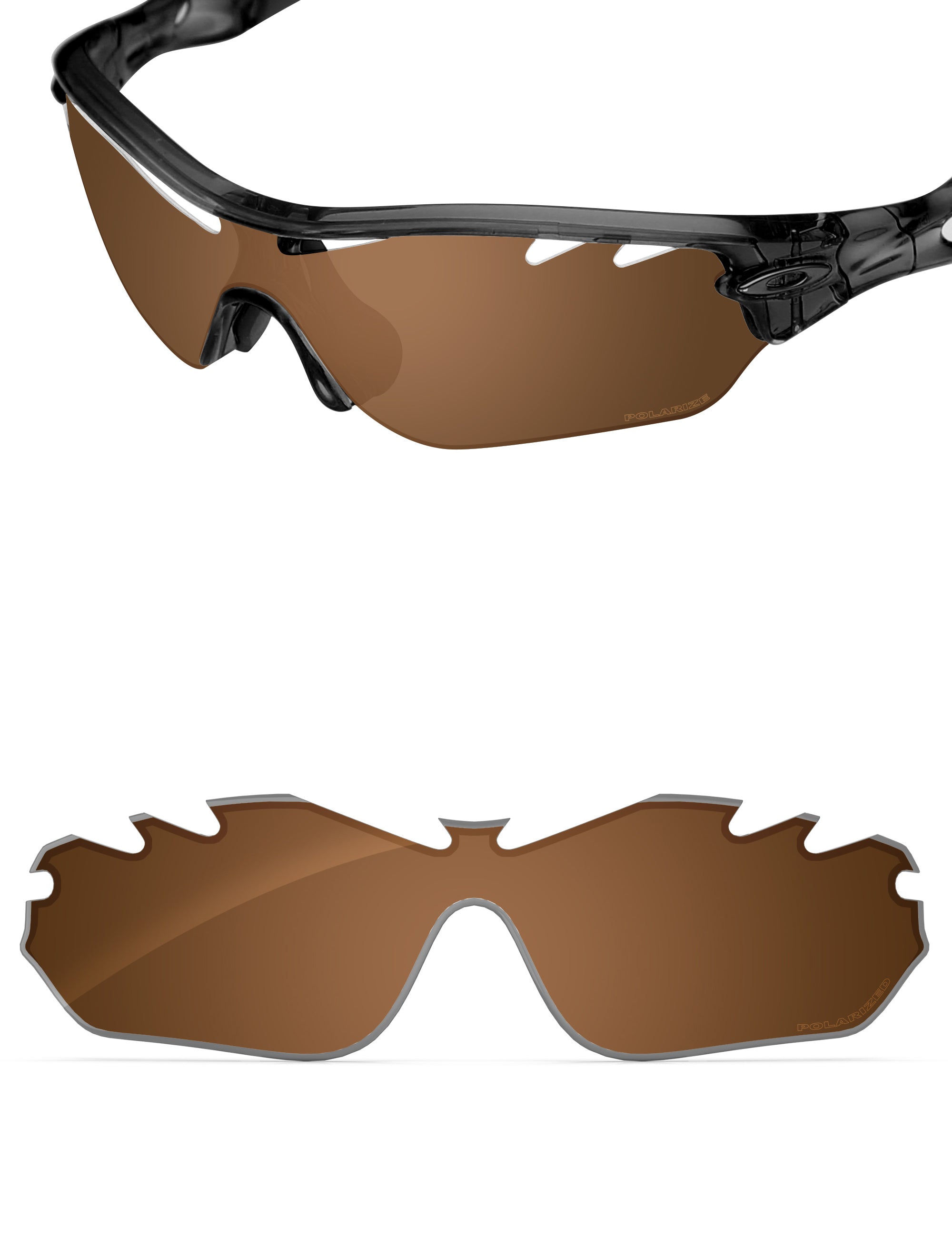 Nut Brown-Polarized