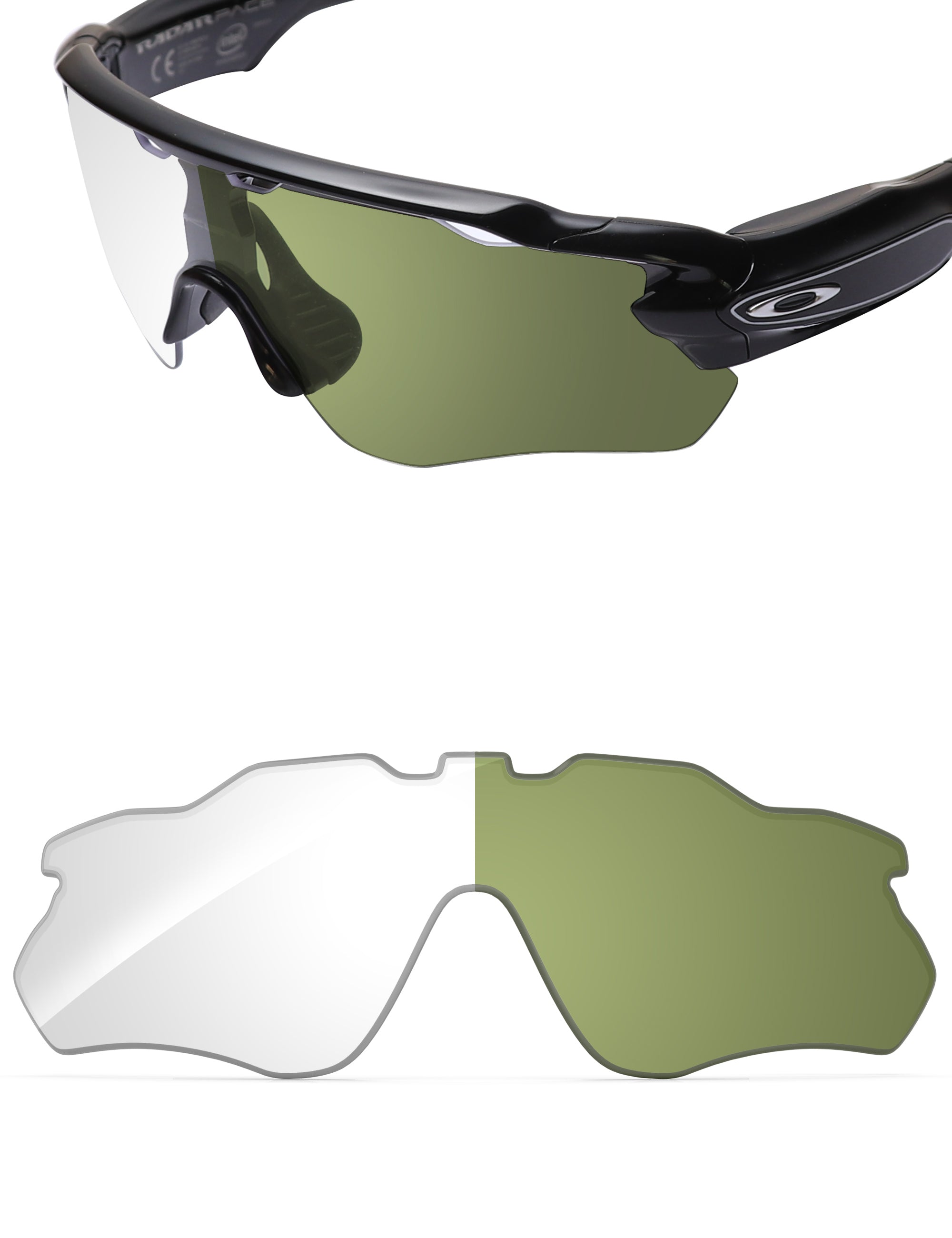 Adapt Green Photochromic-Non-Polarized