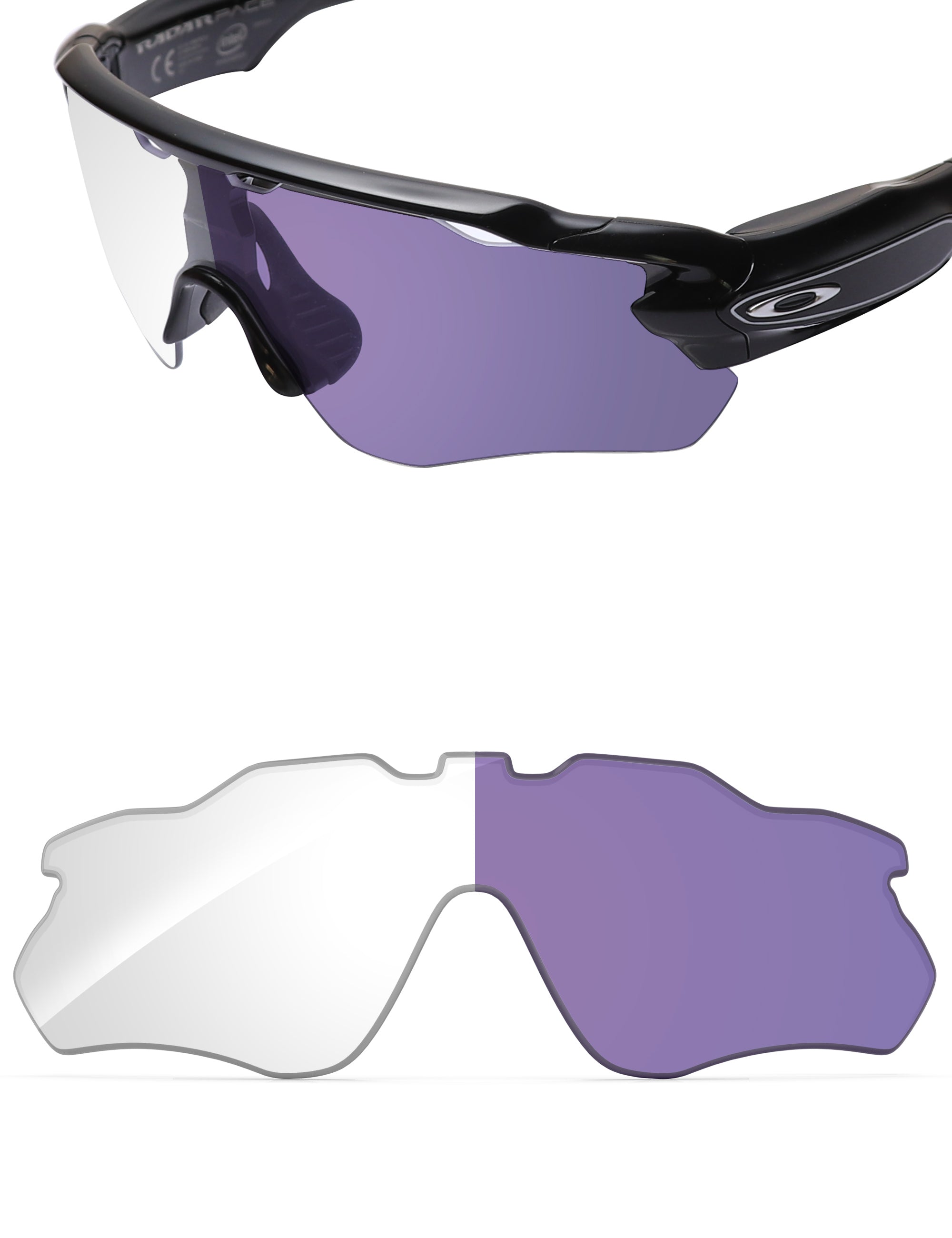 Adapt Purple Photochromic-Non-Polarized