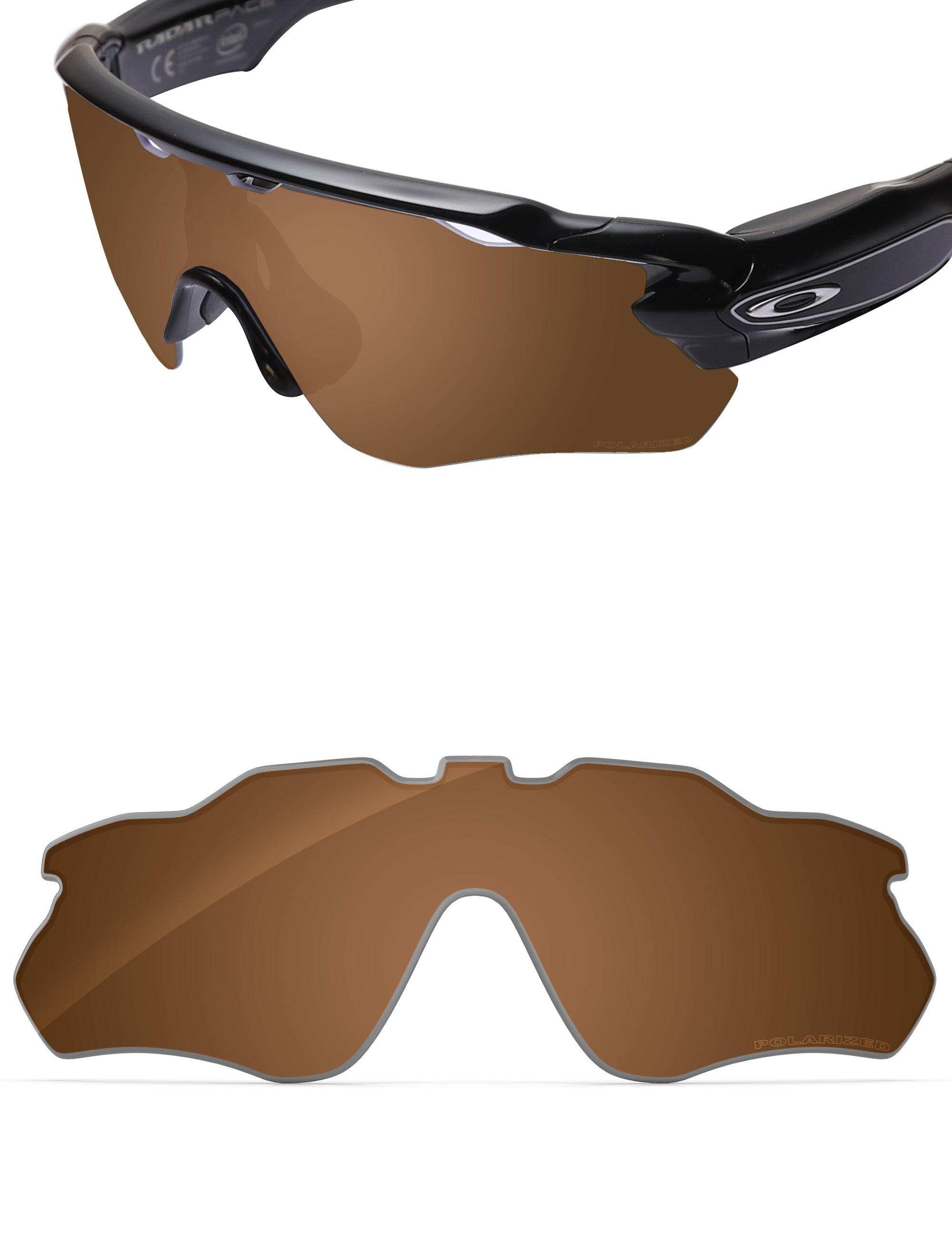 Nut Brown-Polarized