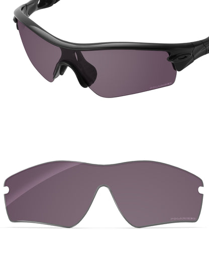 Gray Metallic FlashMirror™-Polarized