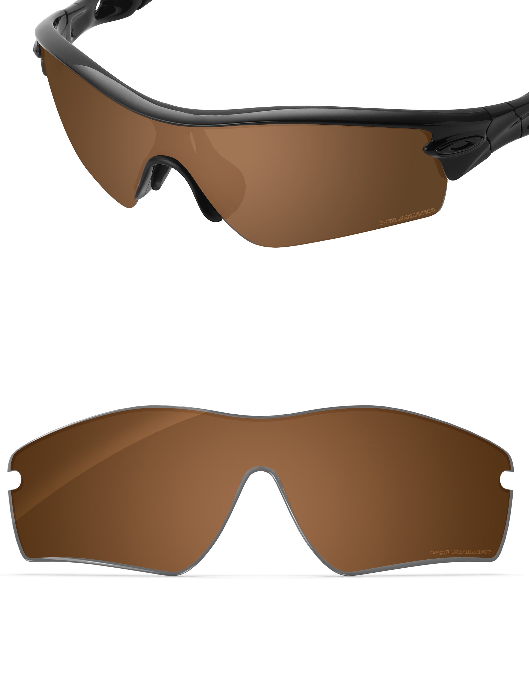 Nut Brown-Polarized
