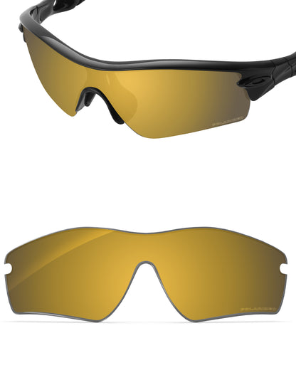 Tungsten Gold FlashMirror™-Polarized