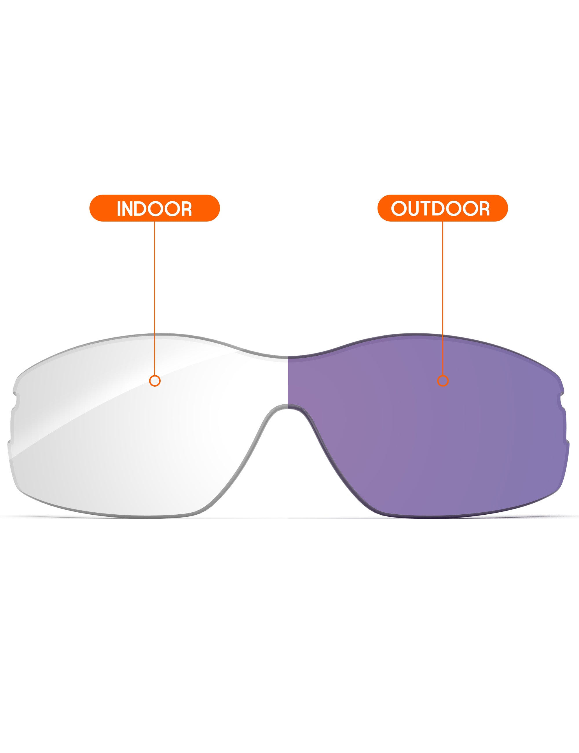 Adapt Purple Photochromic-Non-Polarized