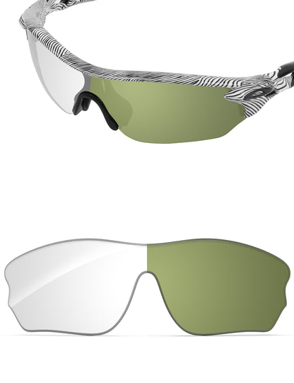Adapt Green Photochromic-Non-Polarized