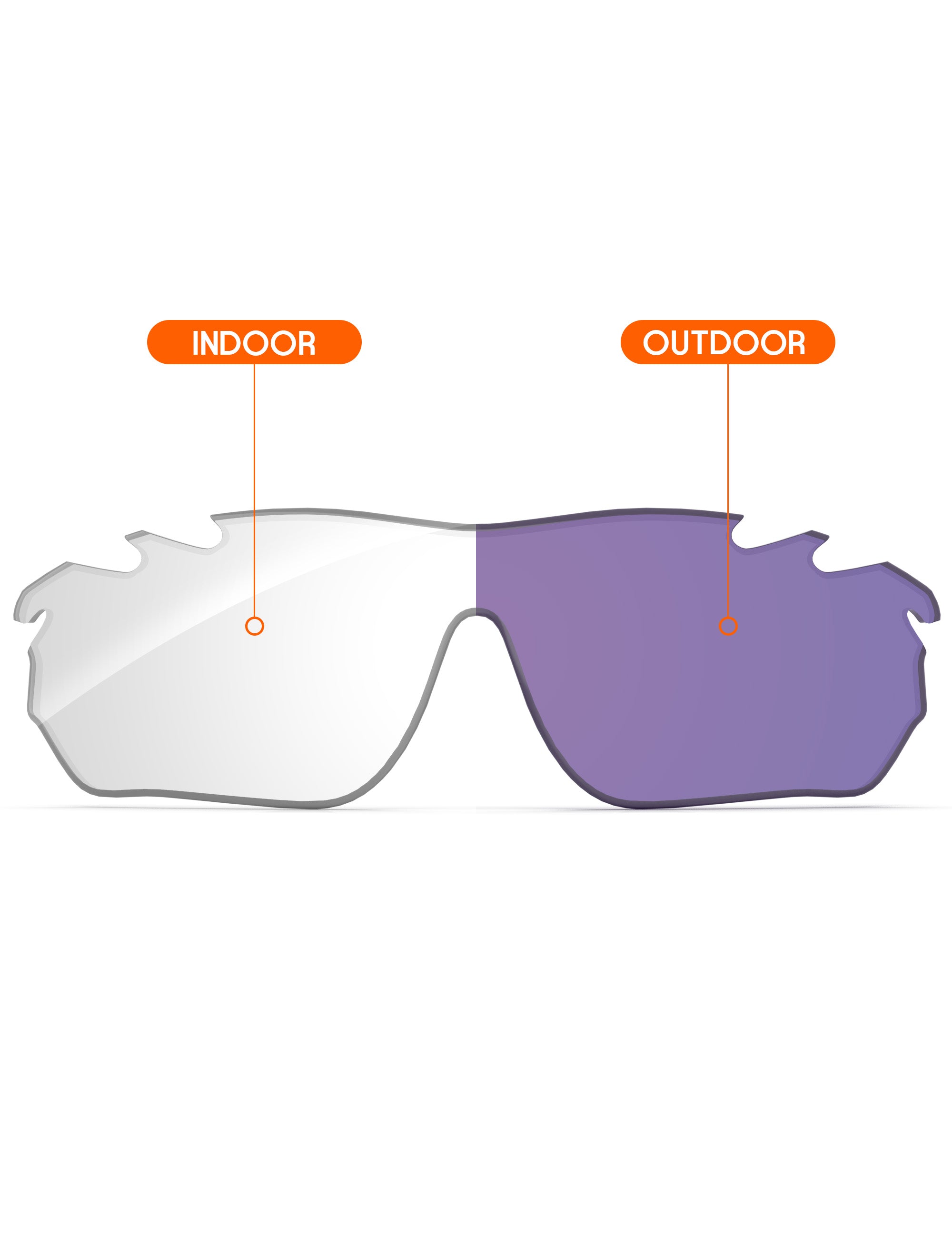 Adapt Purple Photochromic-Non-Polarized