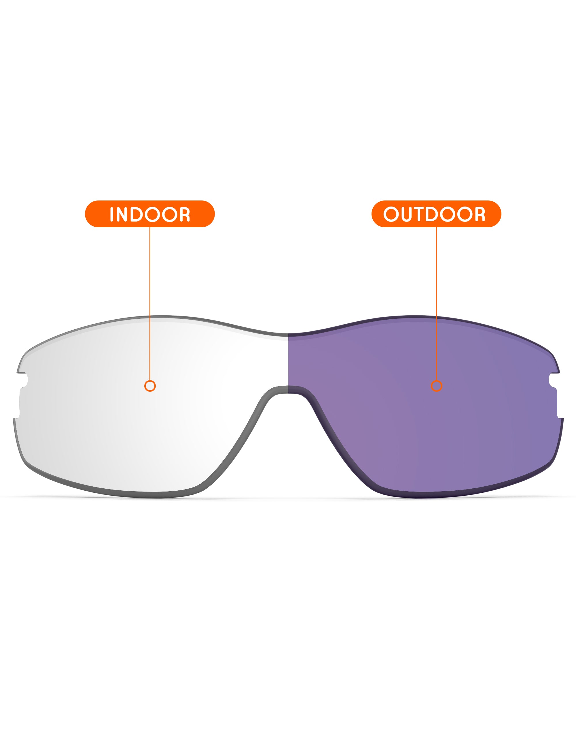 Adapt Purple Photochromic-Non-Polarized