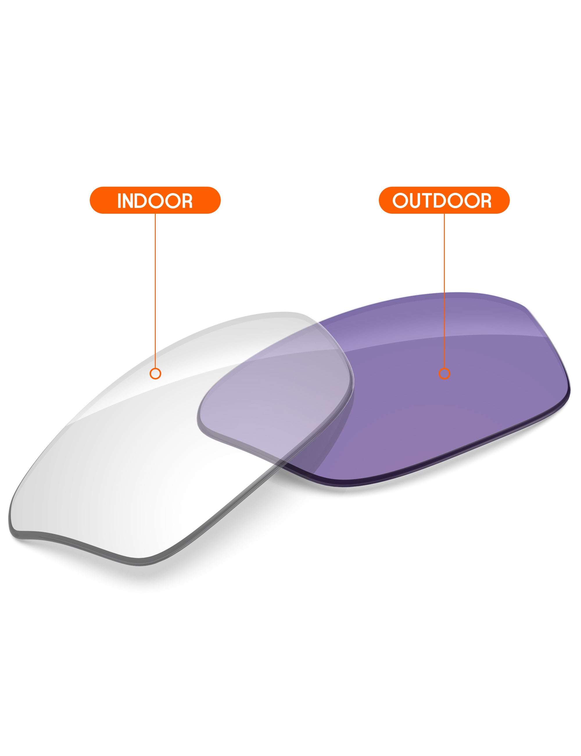 Adapt Purple Photochromic-Non-Polarized