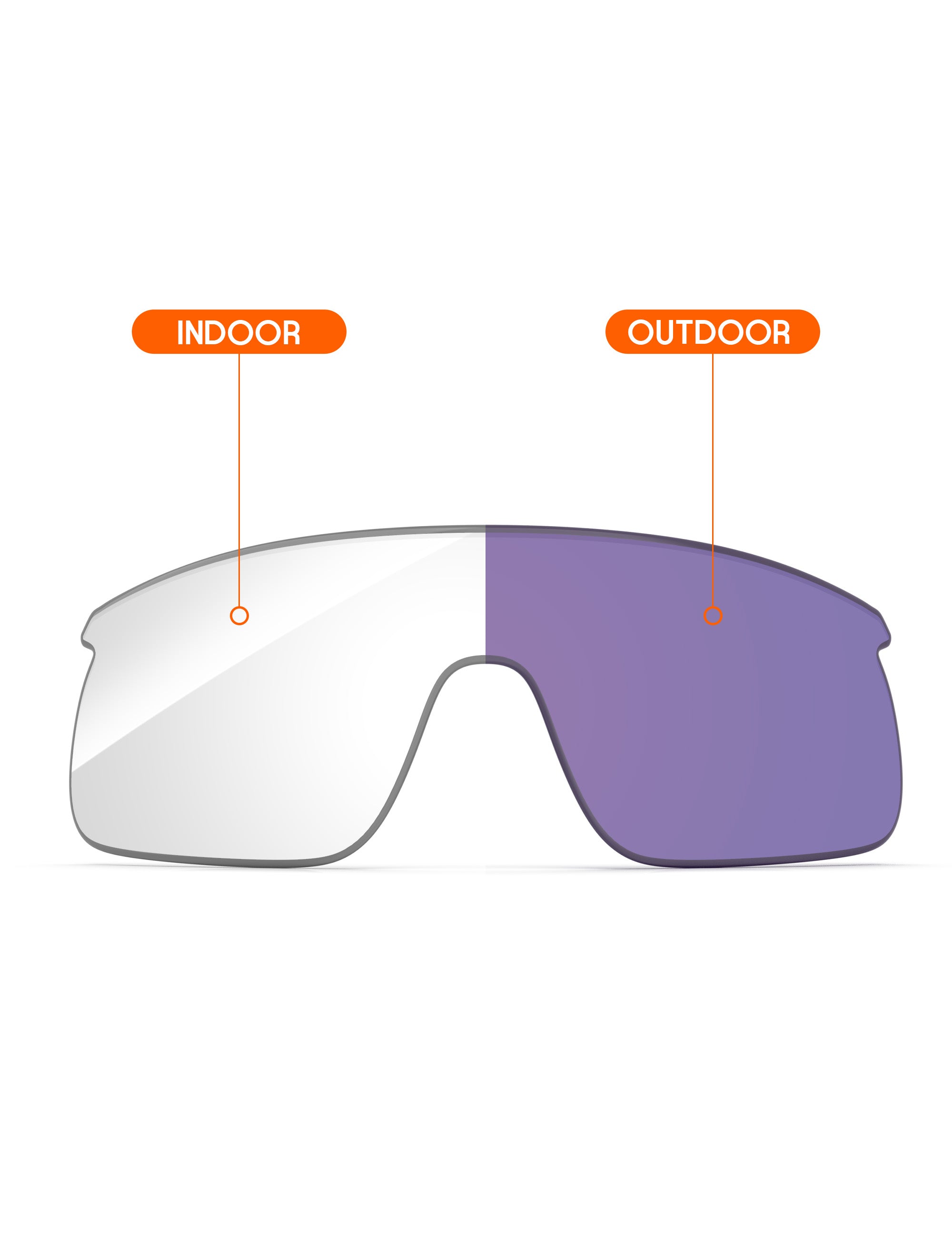 Adapt Purple Photochromic-Non-Polarized