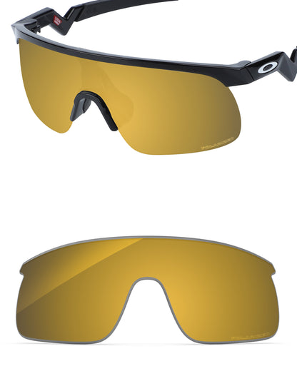 Tungsten Gold FlashMirror™-Polarized