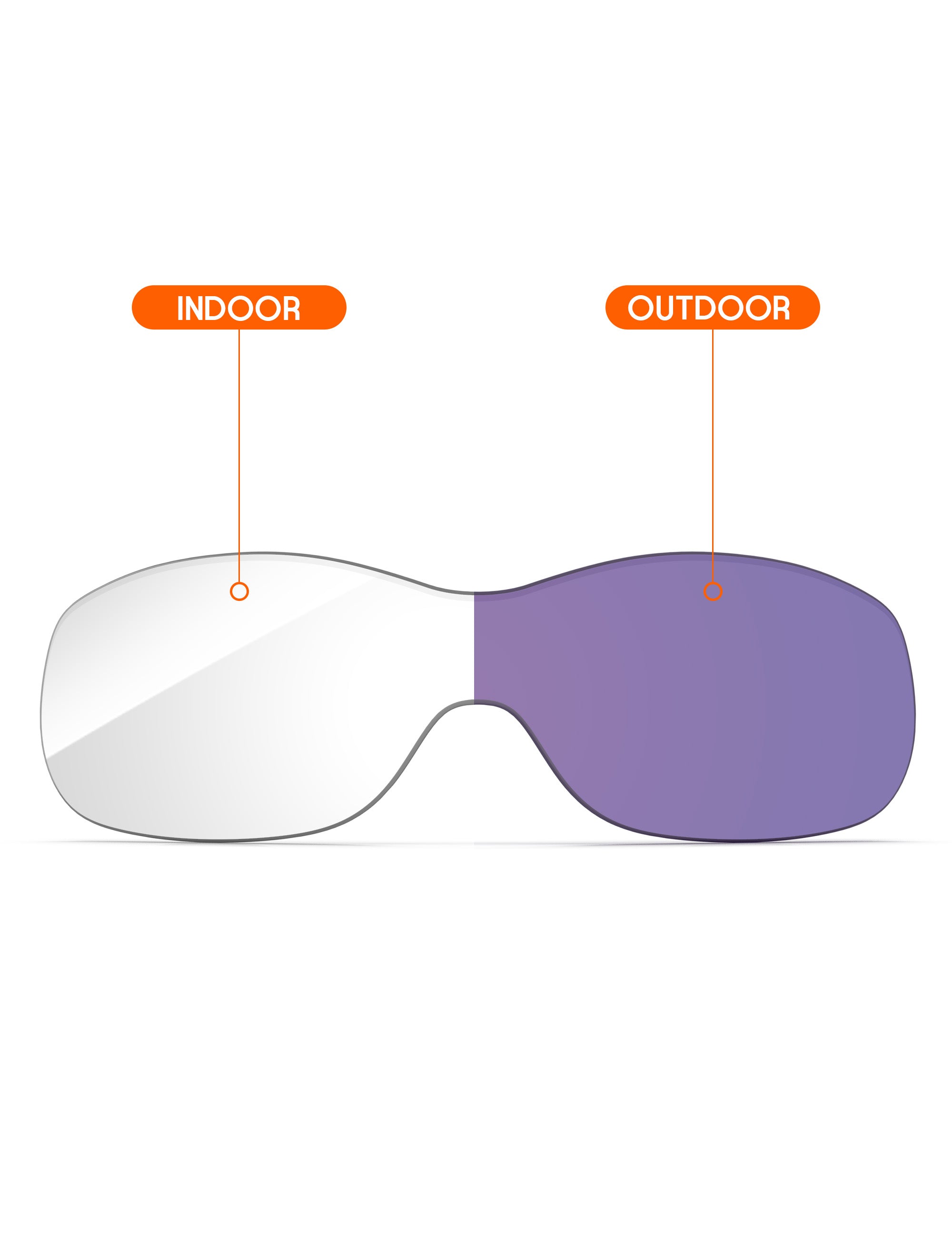 Adapt Purple Photochromic-Non-Polarized