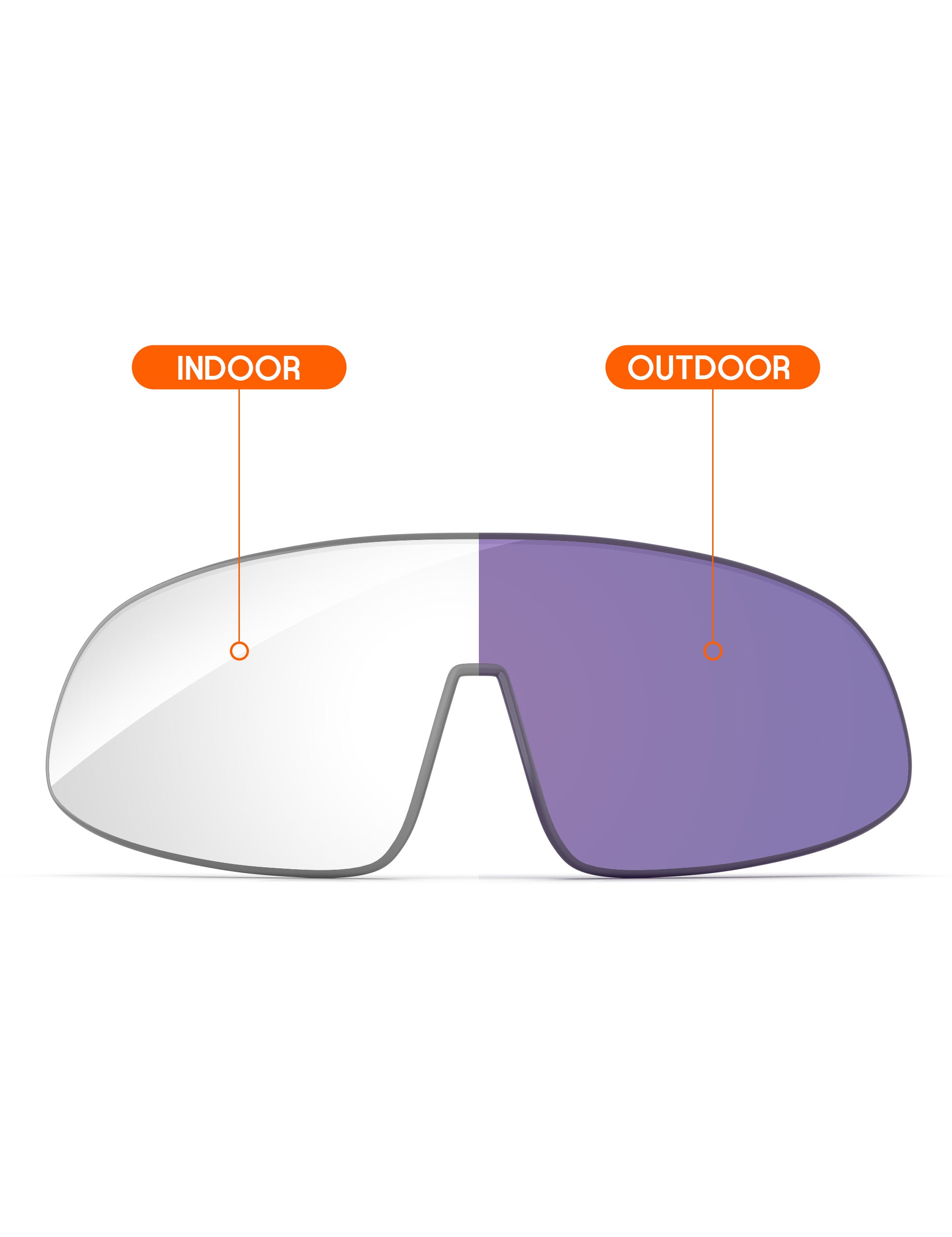 Adapt Purple Photochromic-Non-Polarized
