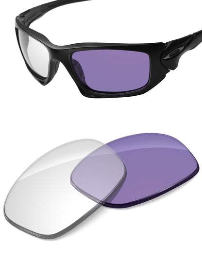 Adapt Purple Photochromic-Non-Polarized