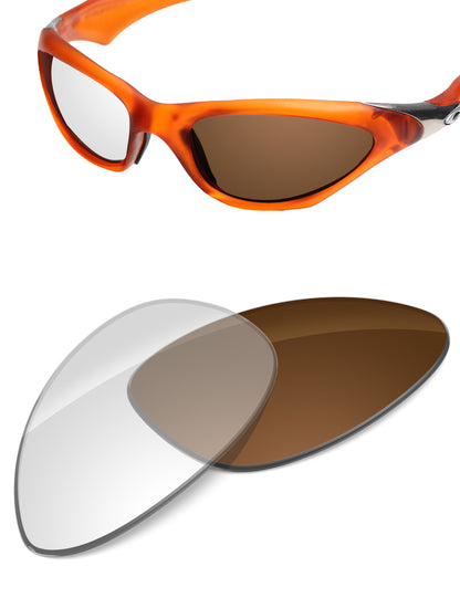 Adapt Brown Photochromic-Non-Polarized