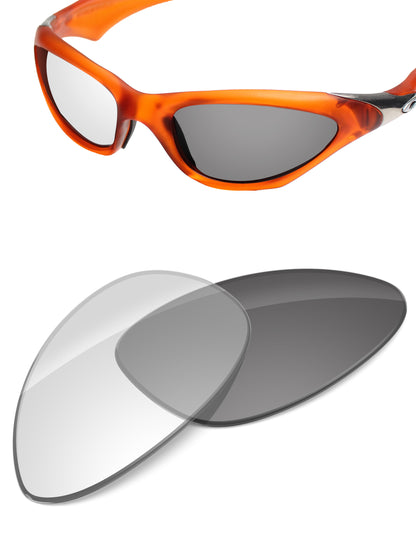 Adapt Gray Photochromic-Non-Polarized