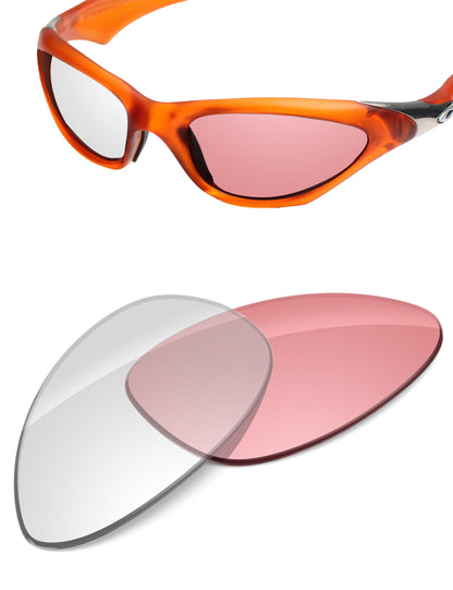 Adapt Pink Photochromic-Non-Polarized