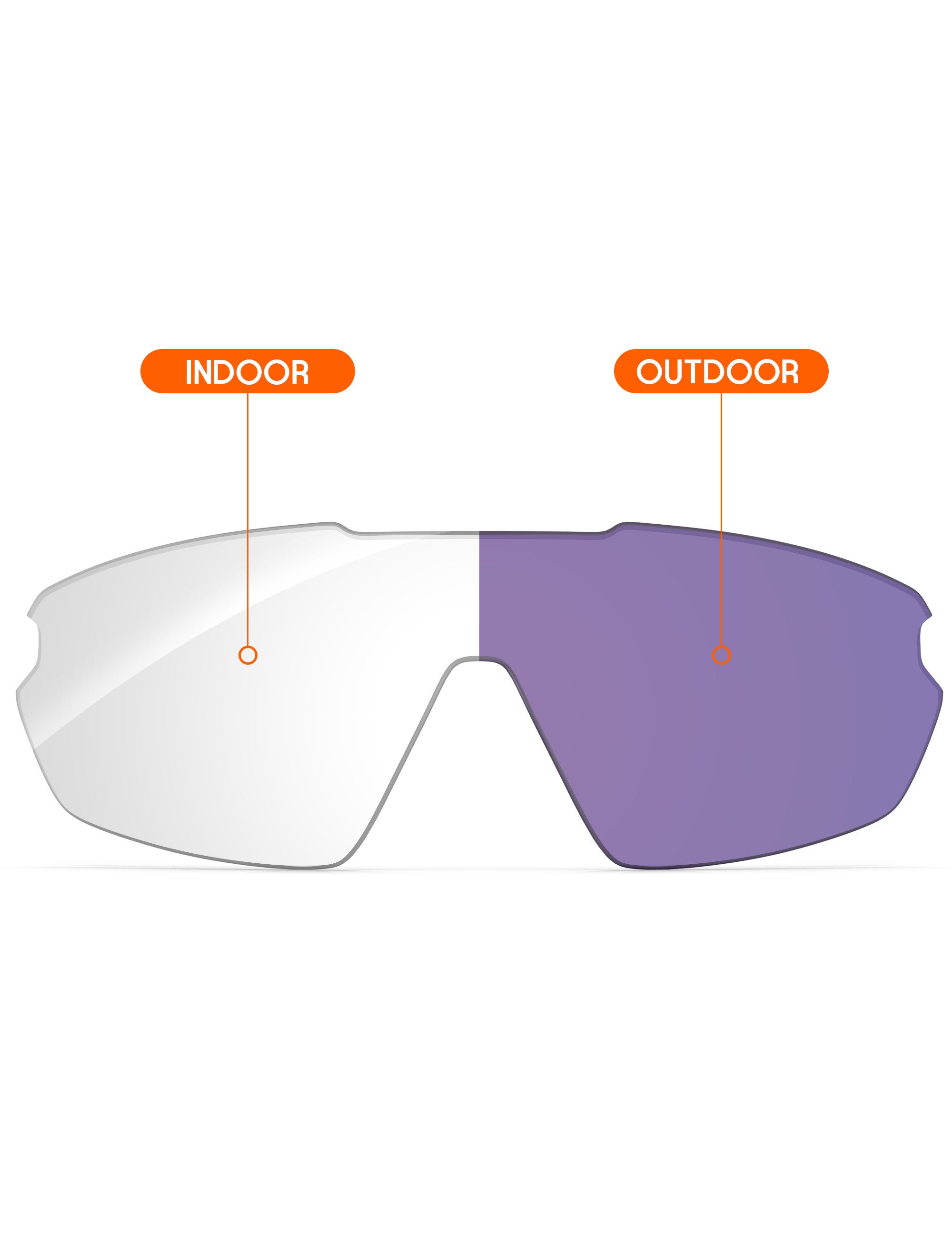 Adapt Purple Photochromic-Non-Polarized