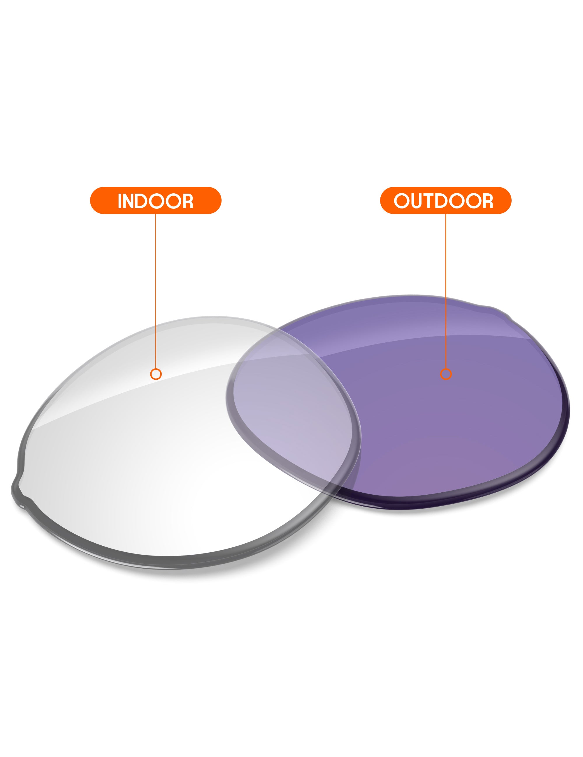Adapt Purple Photochromic-Non-Polarized