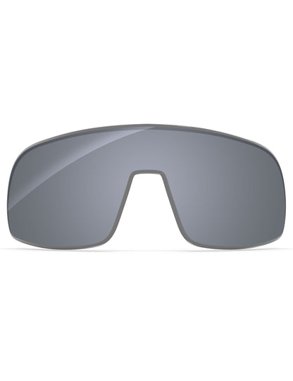 Silver Metallic FlashMirror?-Polarized