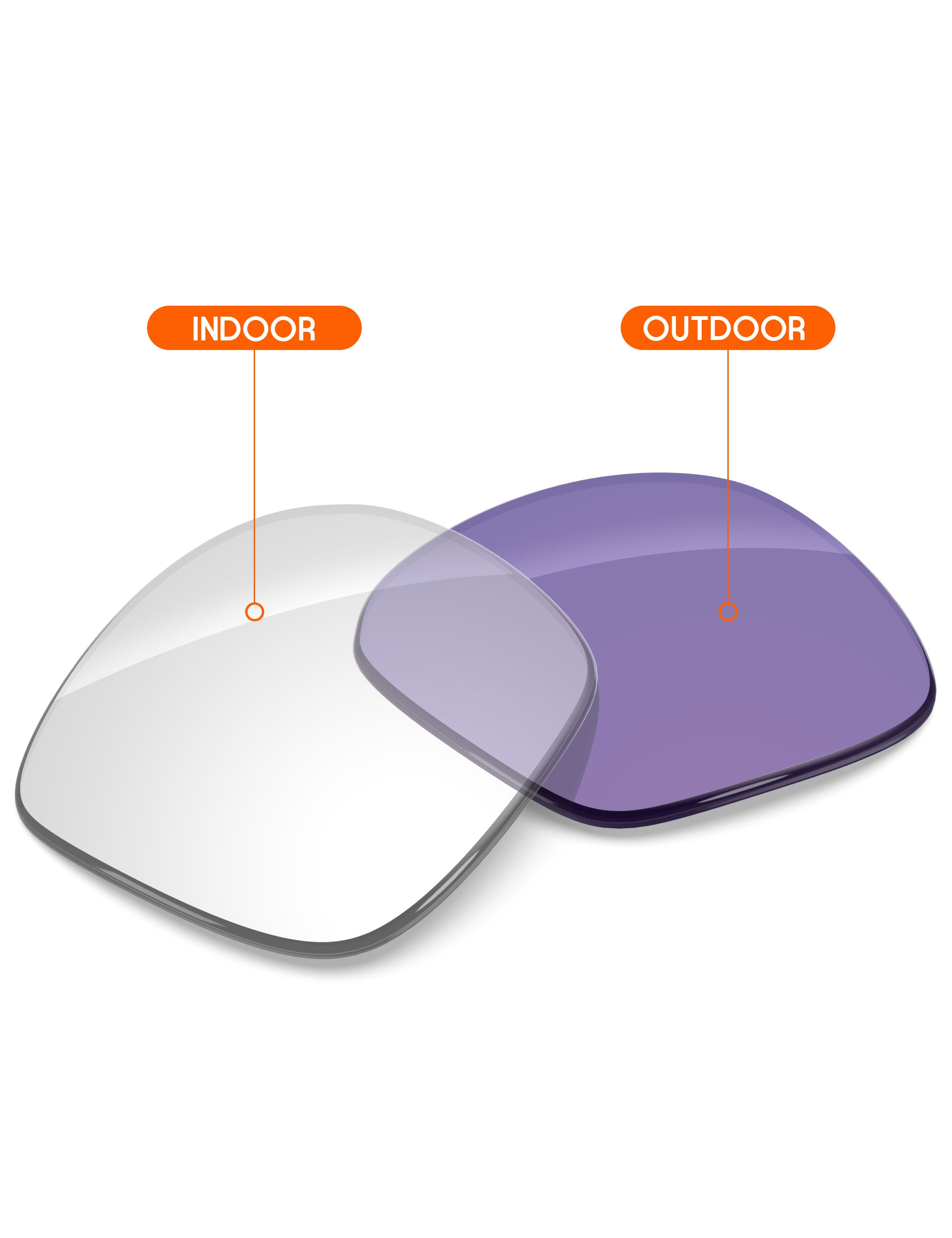 Adapt Purple Photochromic-Non-Polarized