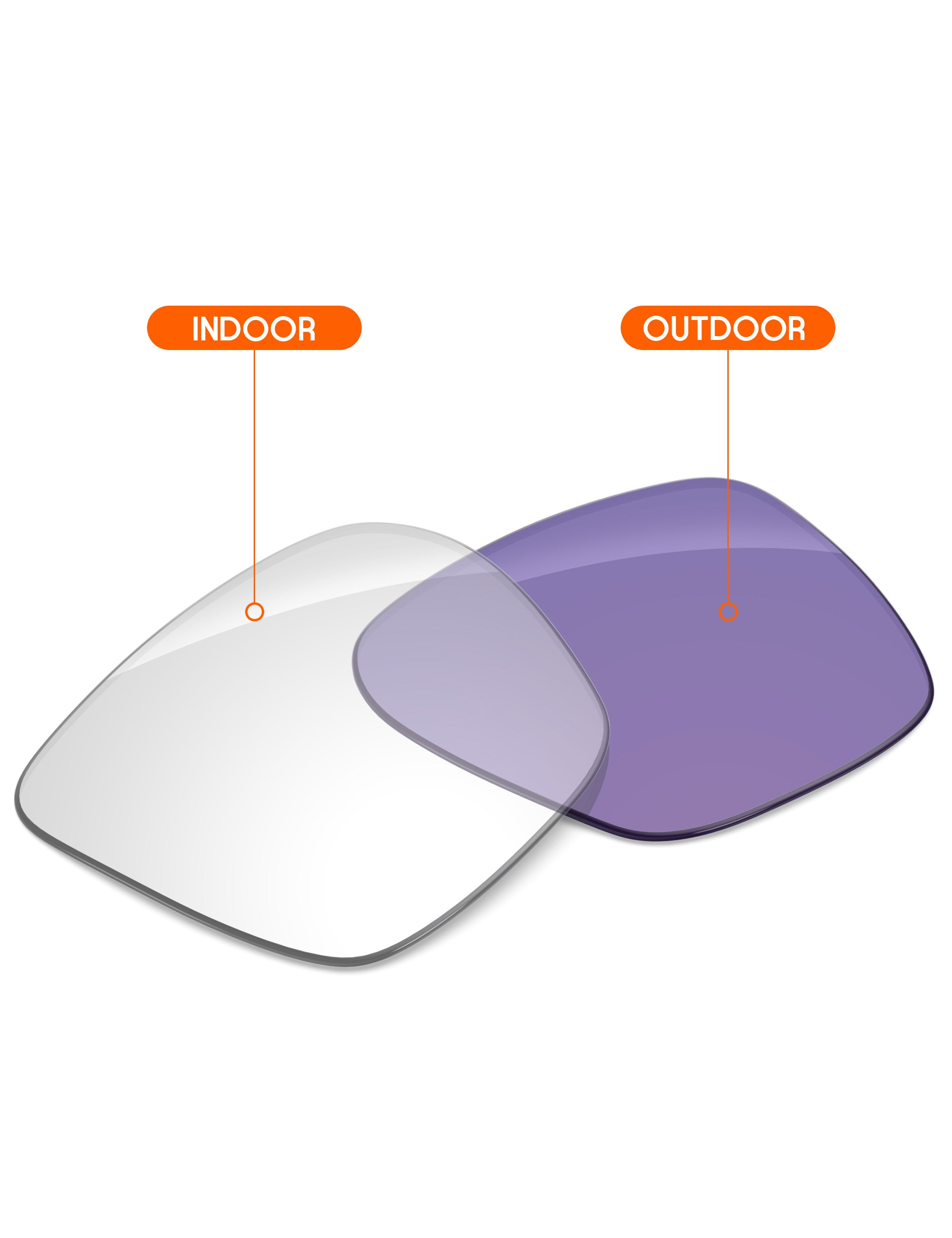 Adapt Purple Photochromic-Non-Polarized