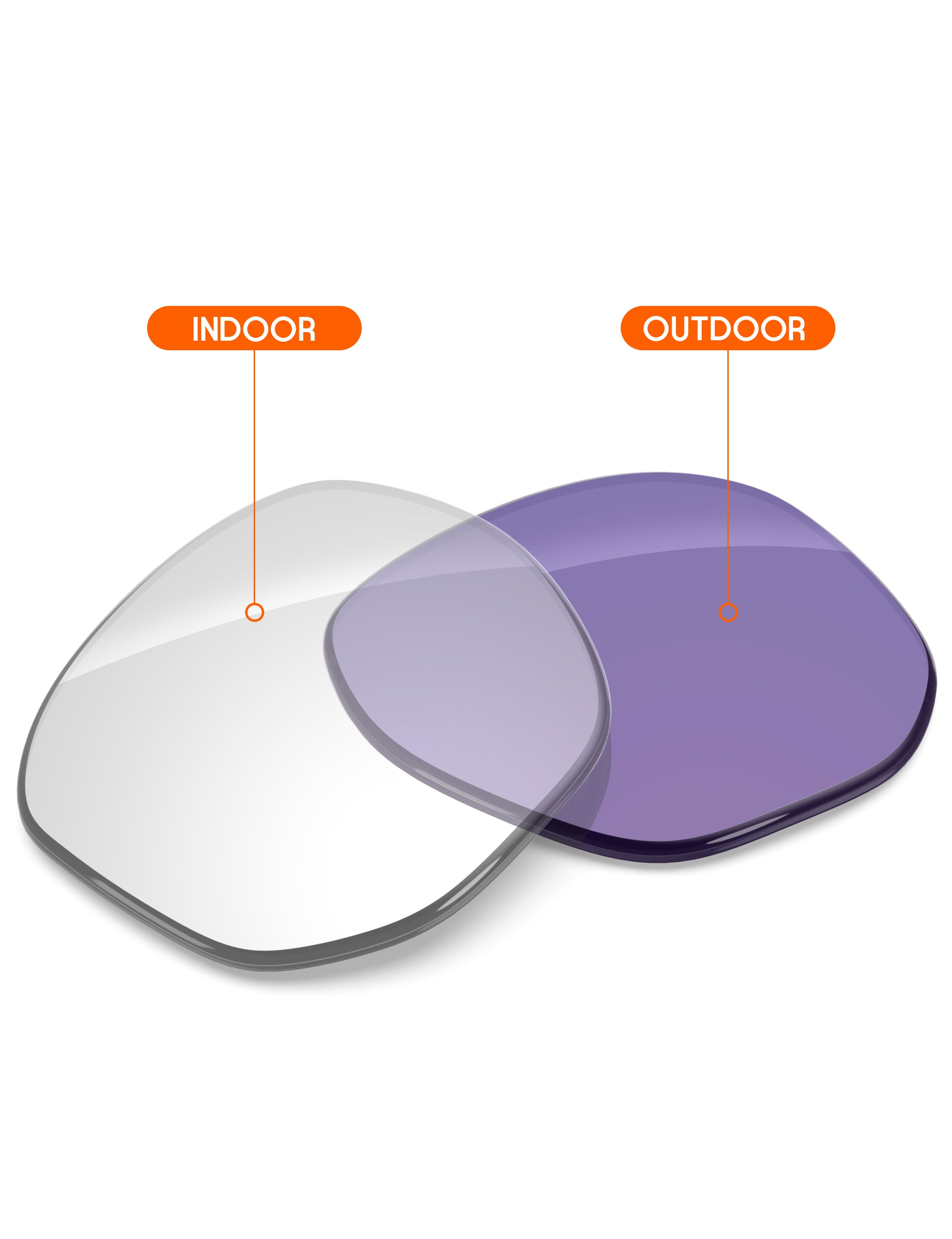 Adapt Purple Photochromic-Non-Polarized