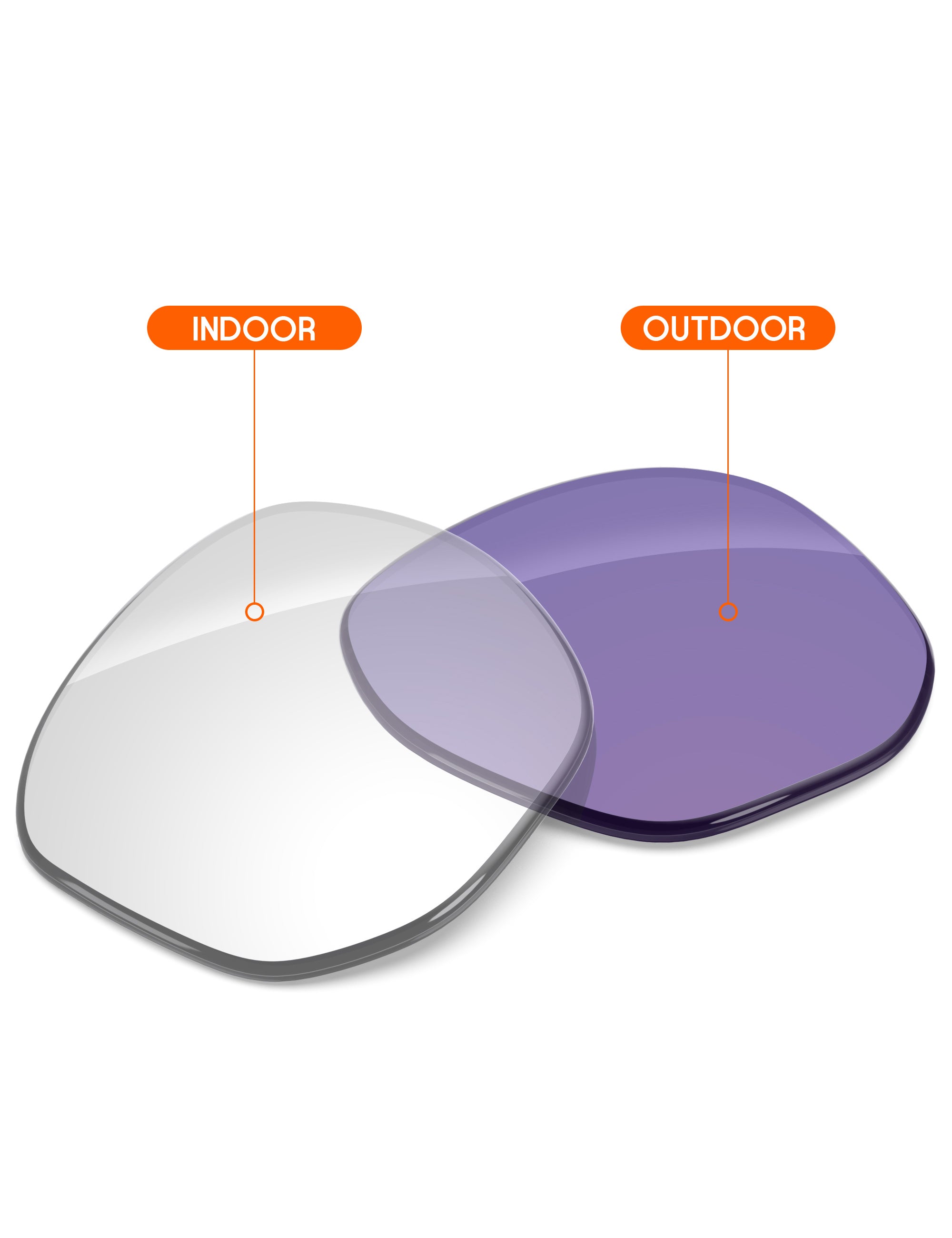 Adapt Purple Photochromic-Non-Polarized